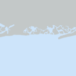 Compass Map